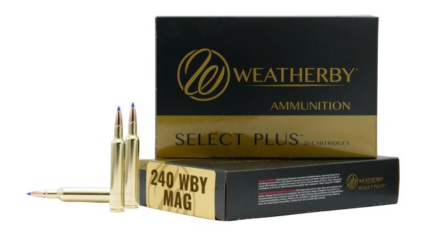 191334.jpg WTHBY M24072HCB 240 WBY 72GR HAMR CUST 20/10