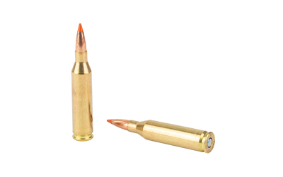 FEF243TFS1_4.jpg FED FUSION 243WIN 95GR FSP 20/200