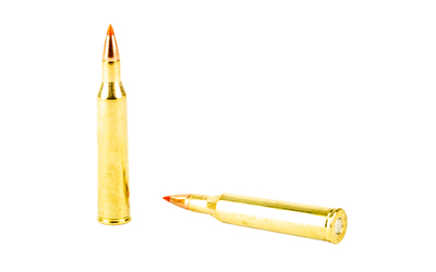 H8324_4.jpg HRNDY 220 SWFT 55GR VMAX 20/200