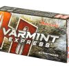 HRNDY 223REM 55GR VMAX 20/200