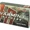 H8336_3.jpg HRNDY 22-250 50GR VMAX 20/200