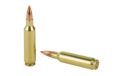 NOS61030_4.jpg NOSLER 22NOS 55GR BT 20/200