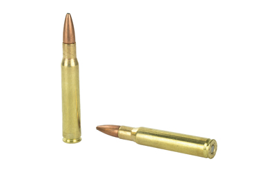 REM 30-06 180GR PSP CL 20/200