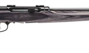 SV47006.jpg SAVAGE ARMS A17 TARGET 17HMR BL/LAM 22"
