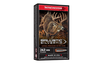 WNSBST243A_1.jpg WIN BLSTC TIP 243WIN 95GR 20/200