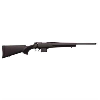p_430105670_1.jpg M1500 MINI 350 LEGEND 16.25'' BBL (1)10RD MAG HTI STOCK BLACK